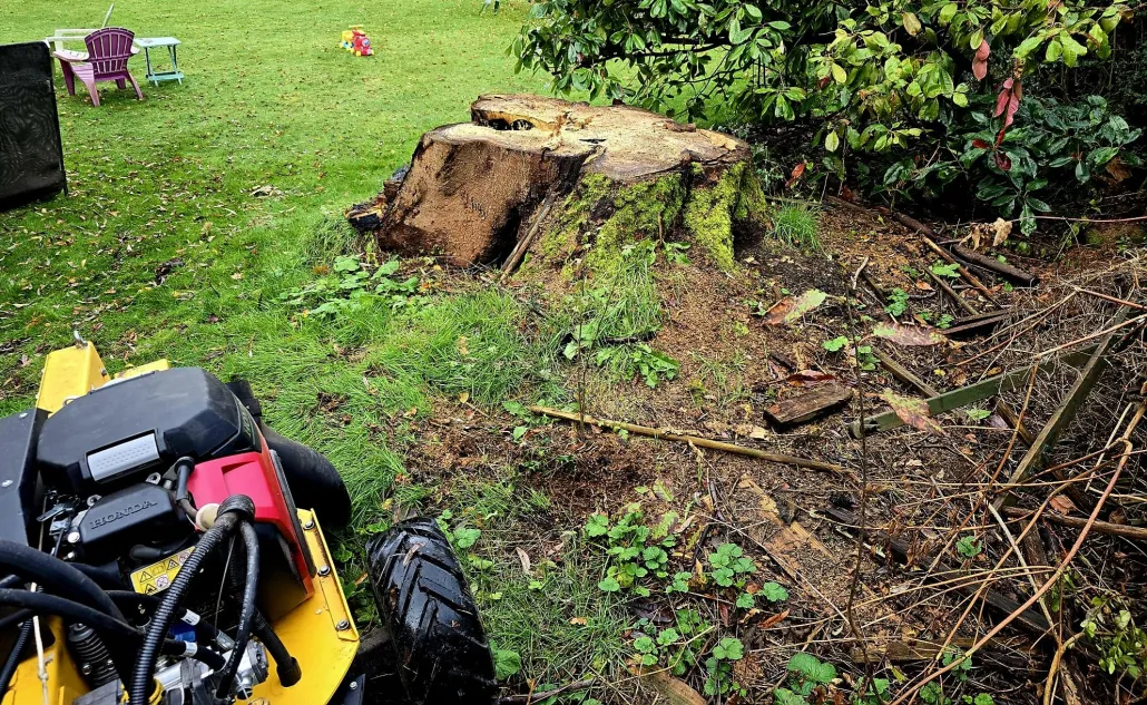 Stump Grinding Stockport