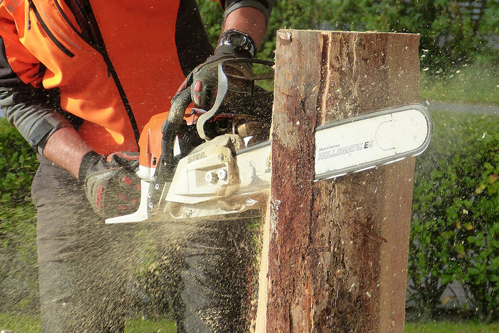 Advantages of Professional Stump Grinding Before Garden Replanting Projects